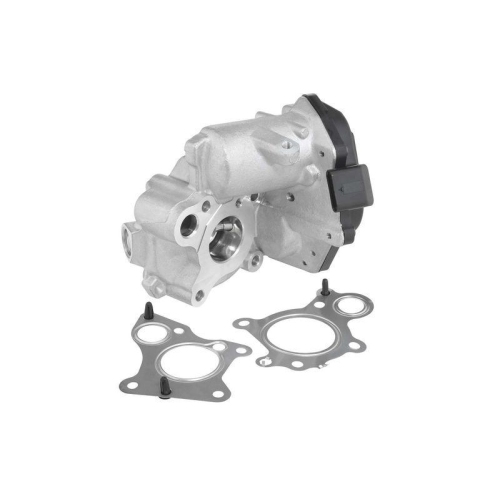 BorgWarner AGR-Ventil 712019D
