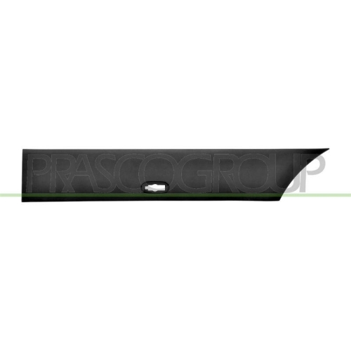 PRASCO Zier-/Schutzleiste, Kotfl&uuml;gel ME9231434