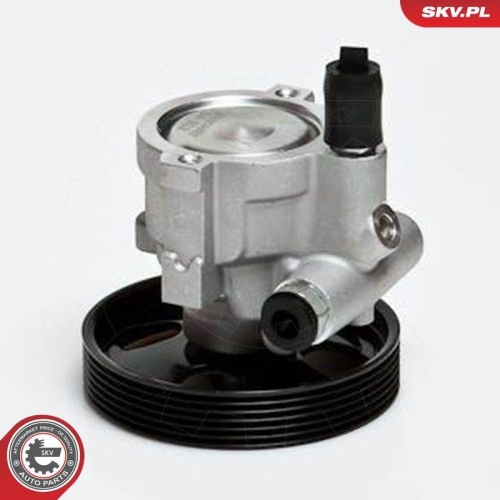 ESEN SKV Hydraulikpumpe, Lenkung 10SKV168