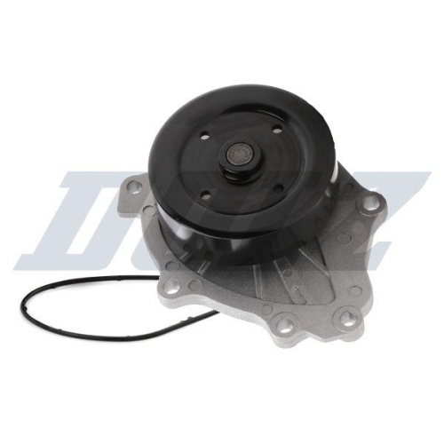 DOLZ Wasserpumpe, Motork&uuml;hlung T231