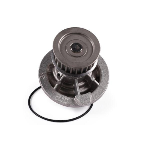 HEPU Wasserpumpe, Motork&uuml;hlung P314
