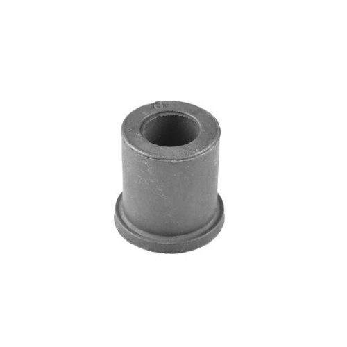TEDGUM Lagerung, Blattfeder 00302452