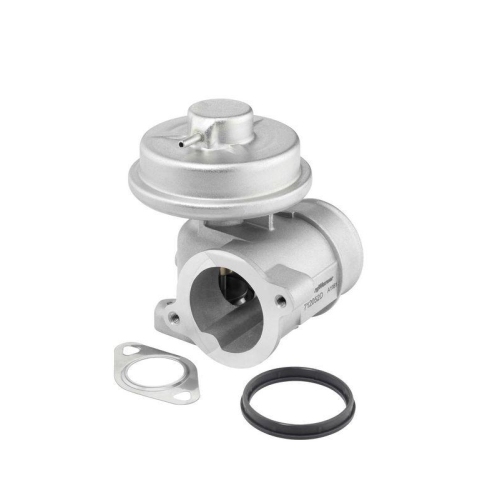 BorgWarner AGR-Ventil 712052D