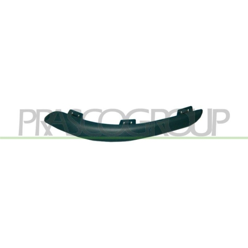 PRASCO Zier-/Schutzleiste, Sto&szlig;f&auml;nger PremiumCertified DS0091244