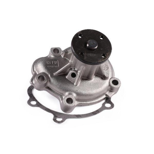 HEPU Wasserpumpe, Motork&uuml;hlung P341