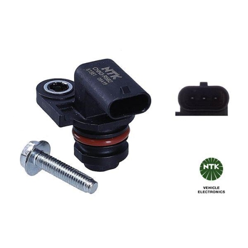 NTK Sensor, Nockenwellenposition 81561