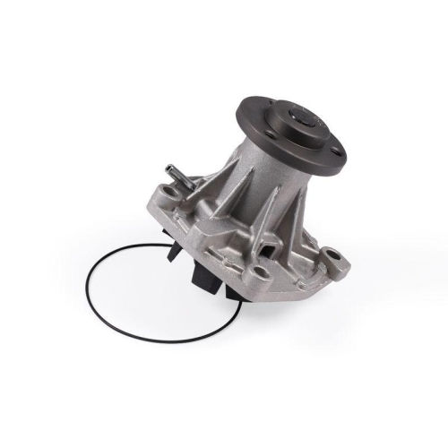 HEPU Wasserpumpe, Motork&uuml;hlung P1081