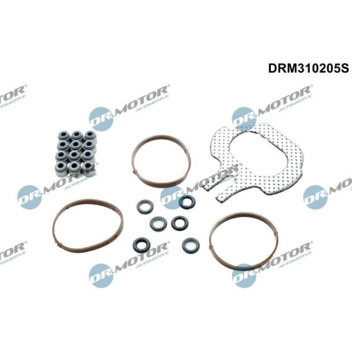 Dr.Motor Automotive Dichtungssatz, Zylinderkopf DRM310205S