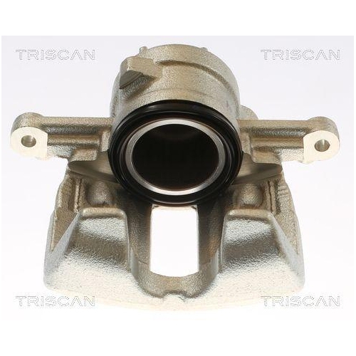 TRISCAN Bremssattel 8175 10134