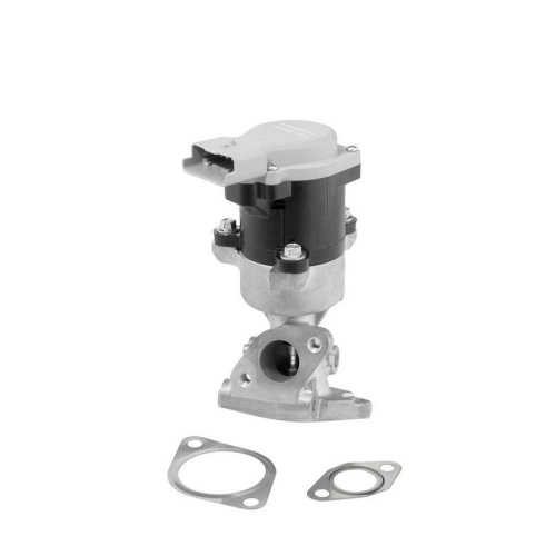 BorgWarner AGR-Ventil 712056D