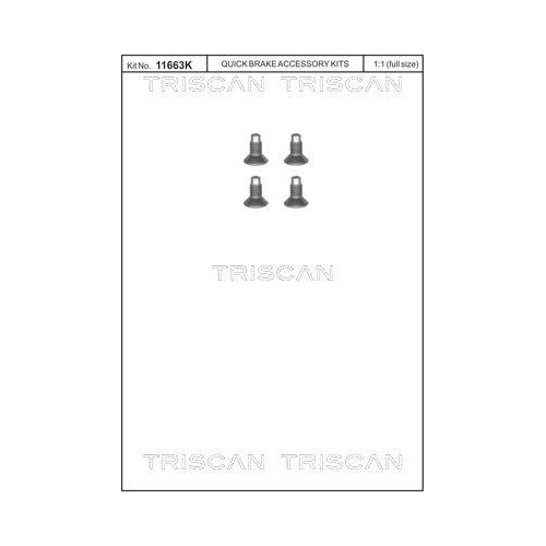 TRISCAN Schraubensatz, Bremsscheibe 8105 116004