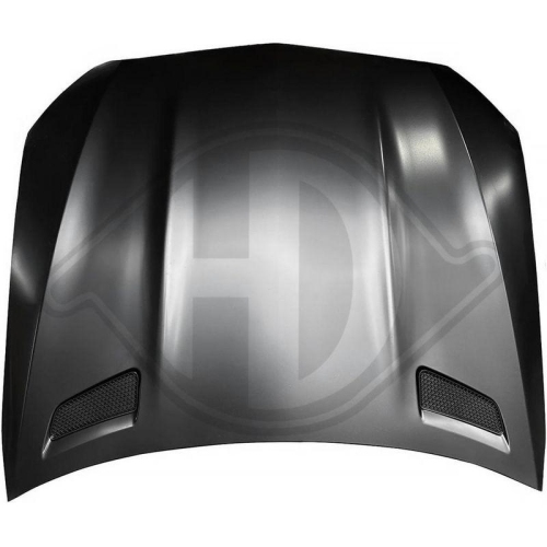 DIEDERICHS Motorhaube HD Tuning 1674200