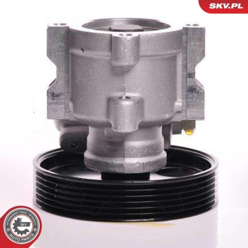 ESEN SKV Hydraulikpumpe, Lenkung 10SKV013