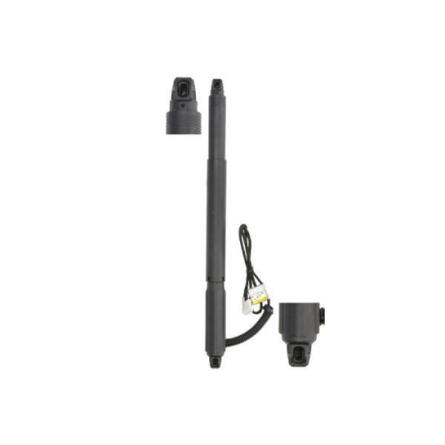 Magnum Technology Gasfeder, Einlegeboden (Koffer-/Laderaum) MGS3125MT