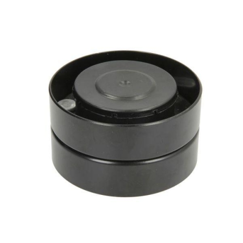 BTA Spannrolle, Keilrippenriemen B05-AG-111