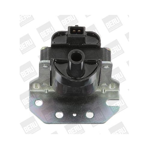 BorgWarner (BERU) Z&uuml;ndspule ZS314