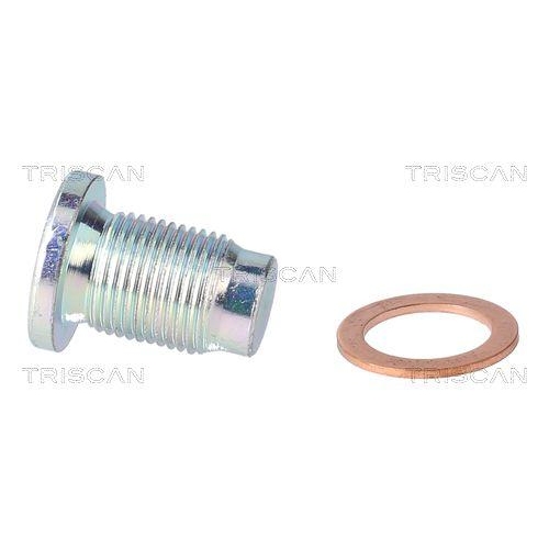 TRISCAN Verschlussschraube, &Ouml;lwanne 9500 1014