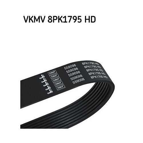 SKF Keilrippenriemen VKMV 8PK1795 HD