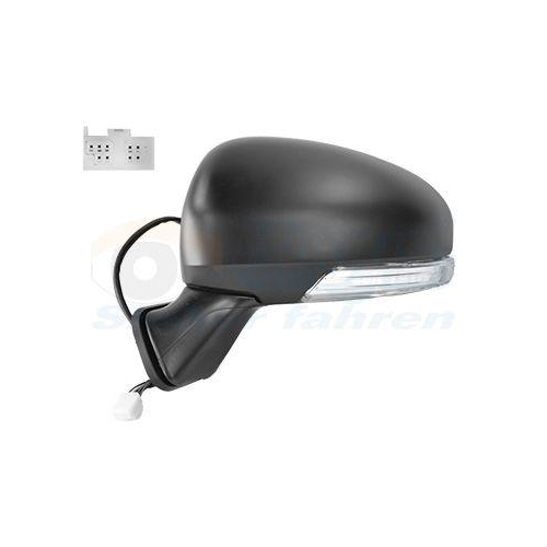 VAN WEZEL Au&szlig;enspiegel * HAGUS * 5468807