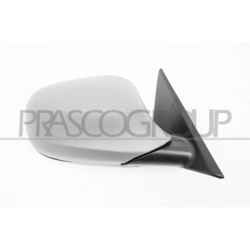 PRASCO Au&szlig;enspiegel BM0267313