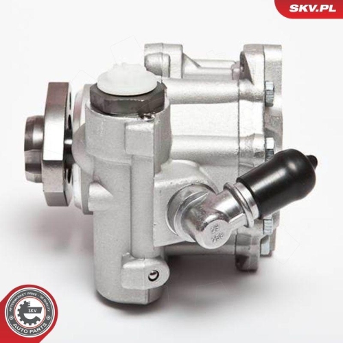 ESEN SKV Hydraulikpumpe, Lenkung 10SKV018
