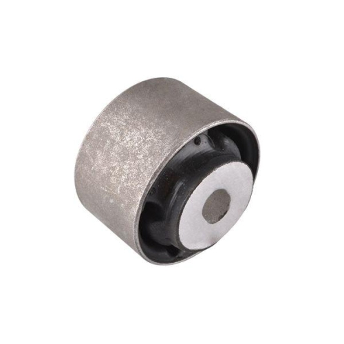 TEDGUM Lagerung, Lenker