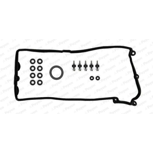 PAYEN Dichtungssatz, Zylinderkopfhaube HM5296