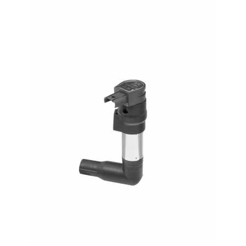 BorgWarner (BERU) Z&uuml;ndspule ZS384
