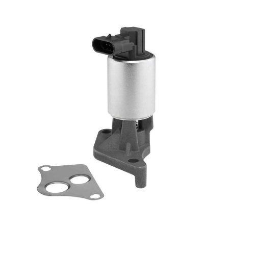 BorgWarner AGR-Ventil 712060D