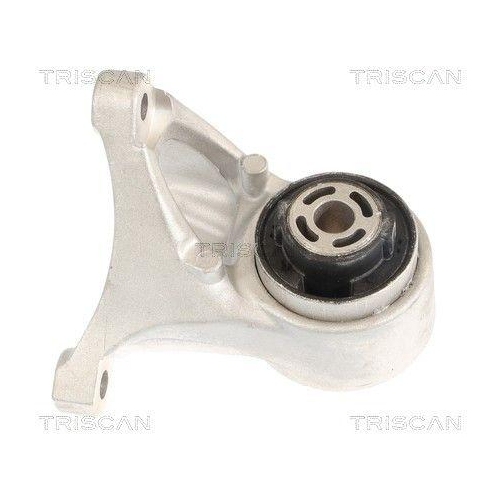 TRISCAN Lagerung, Motor 8505 81102