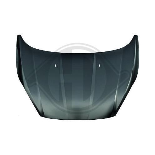 DIEDERICHS Motorhaube 1405100