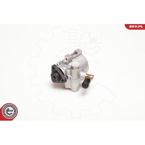 ESEN SKV Hydraulikpumpe, Lenkung 10SKV053