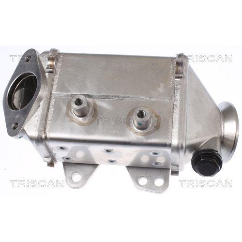 TRISCAN K&uuml;hler, Abgasr&uuml;ckf&uuml;hrung 8813 10113