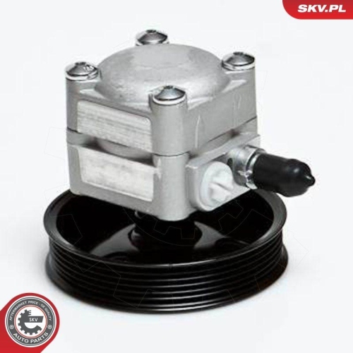 ESEN SKV Hydraulikpumpe, Lenkung 10SKV027