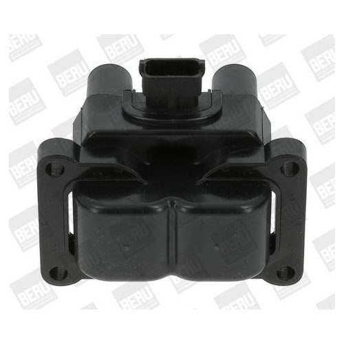 BorgWarner (BERU) Z&uuml;ndspule ZS395