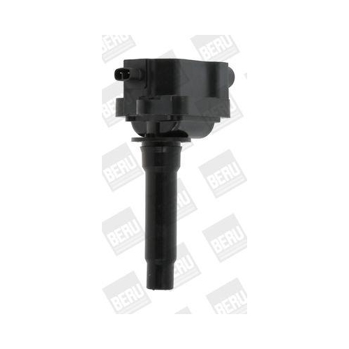 BorgWarner (BERU) Z&uuml;ndspule ZS434