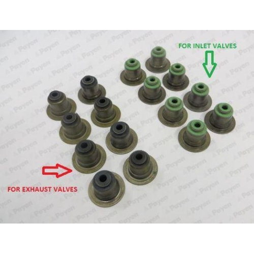 PAYEN Dichtungssatz, Ventilschaft HR5063