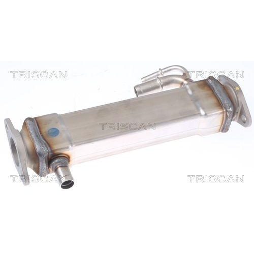 TRISCAN K&uuml;hler, Abgasr&uuml;ckf&uuml;hrung 8813 15073