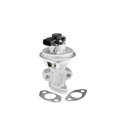 BorgWarner AGR-Ventil 712063D