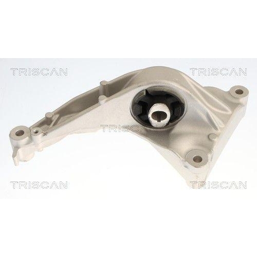 TRISCAN Lagerung, Motor 8505 81104