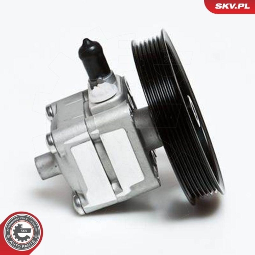 ESEN SKV Hydraulikpumpe, Lenkung 10SKV028