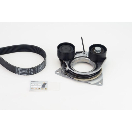 CONTINENTAL CTAM Keilrippenriemensatz 8PK1122 EXTRA K1