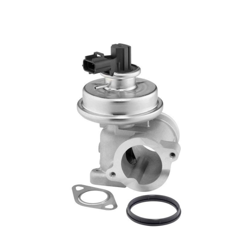 BorgWarner AGR-Ventil 712064D
