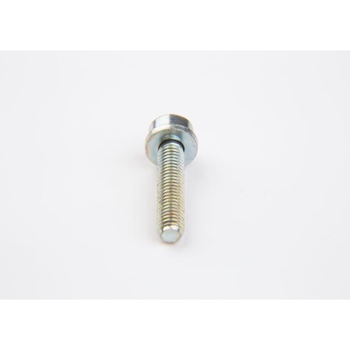 BOSCH Schraube F 002 D13 698