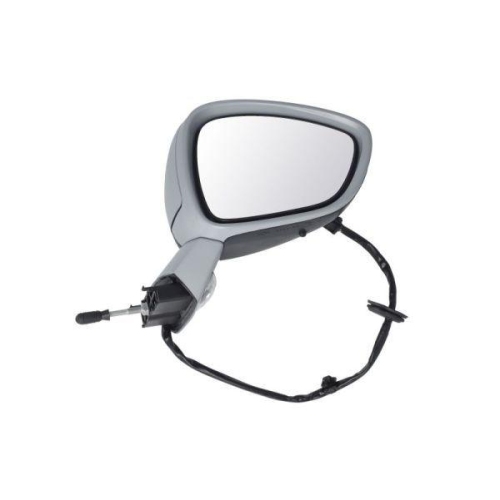 BLIC Au&szlig;enspiegel 5402-21-034366P