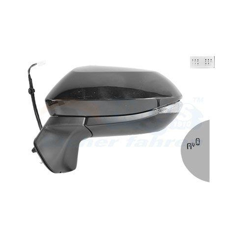 VAN WEZEL Au&szlig;enspiegel * HAGUS * 5419827