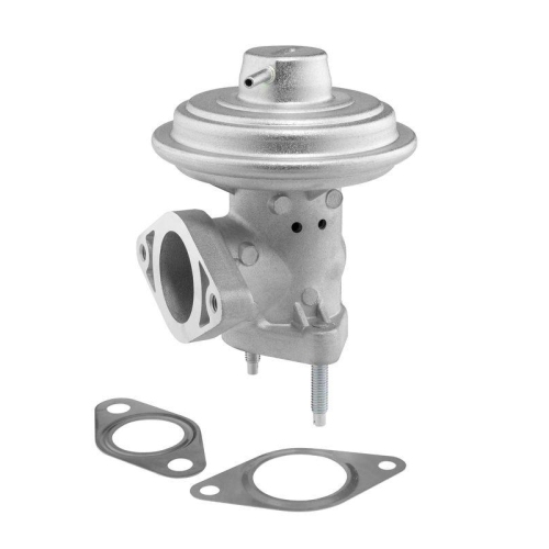 BorgWarner AGR-Ventil 712065D