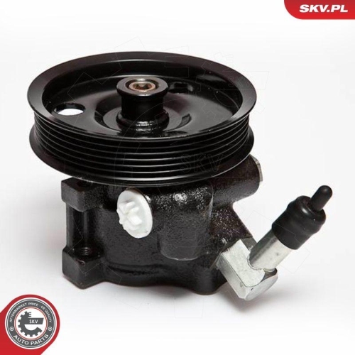 ESEN SKV Hydraulikpumpe, Lenkung 10SKV066