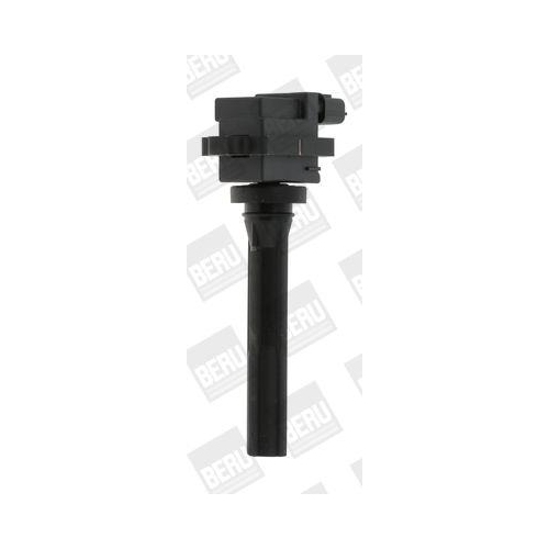 BorgWarner (BERU) Z&uuml;ndspule ZSE072
