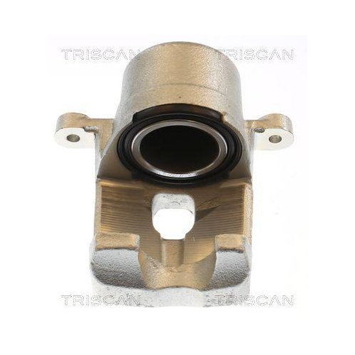TRISCAN Bremssattel 8175 13119